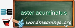 WordMeaning blackboard for aster acuminatus